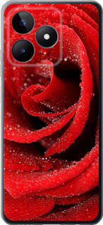 Чехол на Realme C53 Красная роза 529u-3128 (Красный)