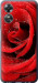 Чехол на Oppo A17 Красная роза 529u-2954 (Красный)