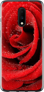 Чехол на OnePlus 7 Красная роза 529u-1740 (Красный)