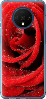 Чехол на OnePlus 7T Красная роза 529u-1809 (Красный)