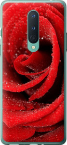 Чехол на OnePlus 8 Красная роза 529t-1902 (Красный)