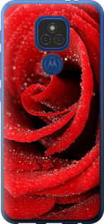 Чехол на Motorola E7 Plus Красная роза 529u-2107 (Красный)