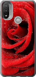 Чохол на Motorola E20 Червона троянда 529u-2509 (Червоний)