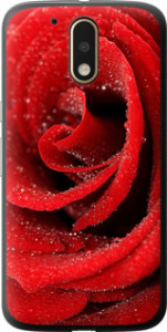 Чехол на Motorola MOTO G4 PLUS Красная роза 529t-953 (Красный) для Motorola Moto G4 / G4 Plus