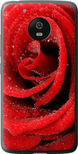 Чехол на Motorola Moto G5 Красная роза 529u-832 (Красный)