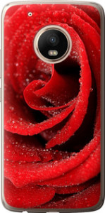 Чохол на Motorola Moto G5 PLUS Червона троянда 529t-1038 (Червоний)