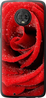 Чехол на Motorola Moto G6 Красная роза 529u-982 (Красный)