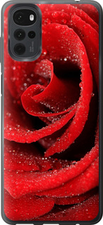 Чехол на Motorola G22 Красная роза 529u-2681 (Красный)
