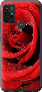 Чехол на Motorola Moto G30 Червона троянда 529u-2320 (Червоний)