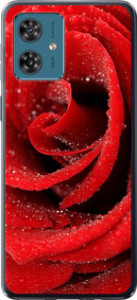 Чохол на Motorola Moto G54 Червона троянда 529u-3339 (Червоний)