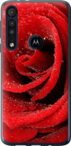Чехол на Motorola One Macro Красная роза 529u-1812 (Красный)