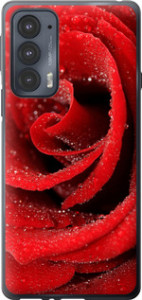 Чехол на Motorola Edge 20 Красная роза 529u-2497 (Красный)