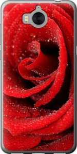 Чохол на Huawei Y5 2017 Червона троянда 529u-992 (Червоний)