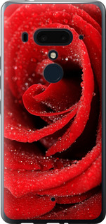 Чехол на HTC U12 Plus Красная роза 529u-1712 (Красный)