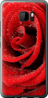 Чехол на HTC U Ultra Красная роза 529u-833 (Красный)