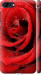 Чехол на Asus ZenFone 4 Max ZC520KL Червона троянда 529m-1242 (Червоний)