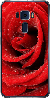 Чохол на Asus Zenfone 3 ZE552KL Червона троянда 529u-448 (Червоний)
