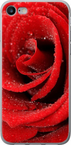 Чехол на iPhone SE 2022 Красная роза 529t-3737 (Красный)