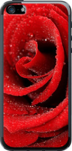 Чехол на iPhone 5 Красная роза 529t-18 (Красный) для iPhone 5
