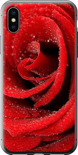 Чехол на iPhone X Красная роза 529t-1050 (Красный)