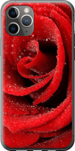 Чохол на iPhone 11 Pro Max Червона троянда 529u-1723 (Червоний)