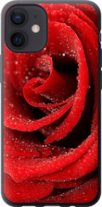 Чохол на iPhone 12 Mini Червона троянда 529t-2071 (Червоний)