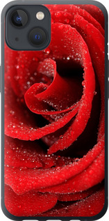Чехол на iPhone 13 Красная роза 529u-2374 (Красный)