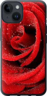 Чохол на iPhone 14 Червона троянда 529u-2648 (Червоний)
