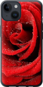 Чохол на iPhone 14 Червона троянда 529u-2648 (Червоний)