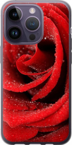 Чехол на iPhone 14 Pro Червона троянда 529u-2646 (Червоний)