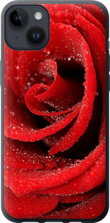 Чехол на iPhone 14 Plus Красная роза 529u-2645 (Красный)