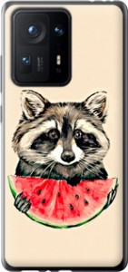 Чехол на Xiaomi Mix 4 Енотик с арбузом 4605u-2475 (Серый)