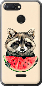 Чехол на Xiaomi Redmi 6 Енотик с арбузом 4605t-1521 (Серый)