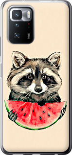 Чехол на Xiaomi Redmi Note 10 Pro 5G Енотик с арбузом 4605u-3333 (Серый)