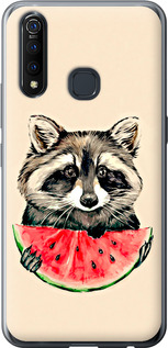 Чехол на Vivo Z5X Енотик с арбузом 4605u-1765 (Серый)