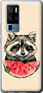 Чехол на Vivo X50 Pro Plus Енотик с арбузом 4605u-2056 (Серый)