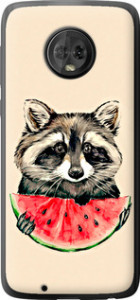 Чехол на Motorola Moto G6 Енотик с арбузом 4605u-982 (Серый)