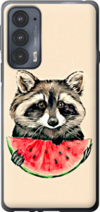 Чехол на Motorola Edge 20 Енотик с арбузом 4605u-2497 (Серый)