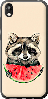 Чехол на Huawei Honor 8S Енотик с арбузом 4605t-1679 (Серый)