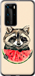 Чехол на Huawei P40 Pro Енотик с арбузом 4605u-1839 (Серый)