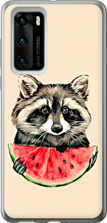 Чехол на Huawei P40 Енотик с арбузом 4605u-1840 (Серый)