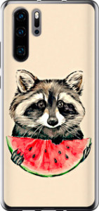 Чехол на Huawei P30 Pro Енотик с арбузом 4605t-1621 (Серый)