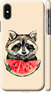 Чехол на iPhone X Енотик с арбузом 4605m-1050 (Серый)