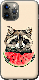 Чехол на iPhone 12 Pro Max Енотик с арбузом 4605t-2054 (Серый)