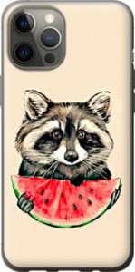 Чехол на iPhone 12 Pro Max Енотик з арбузом 4605u-2054 (Сірий)