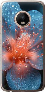 Чехол на Motorola Moto G5 PLUS Роса на цветке 6039u-1038 (Фиолетовый)