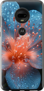 Чехол на Motorola Moto G7 Роса на цветке 6039u-1614 (Фиолетовый) для Motorola Moto G7