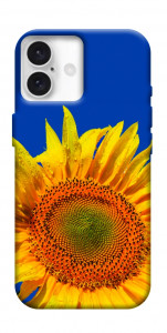 Чохол Sunflower для iPhone 16