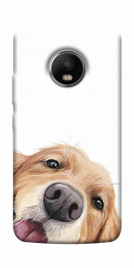 Чехол Funny dog для Motorola Moto G5S