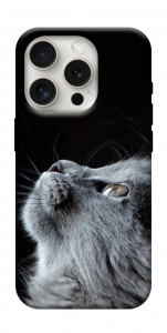 Чохол Cute cat для iPhone 16 Pro